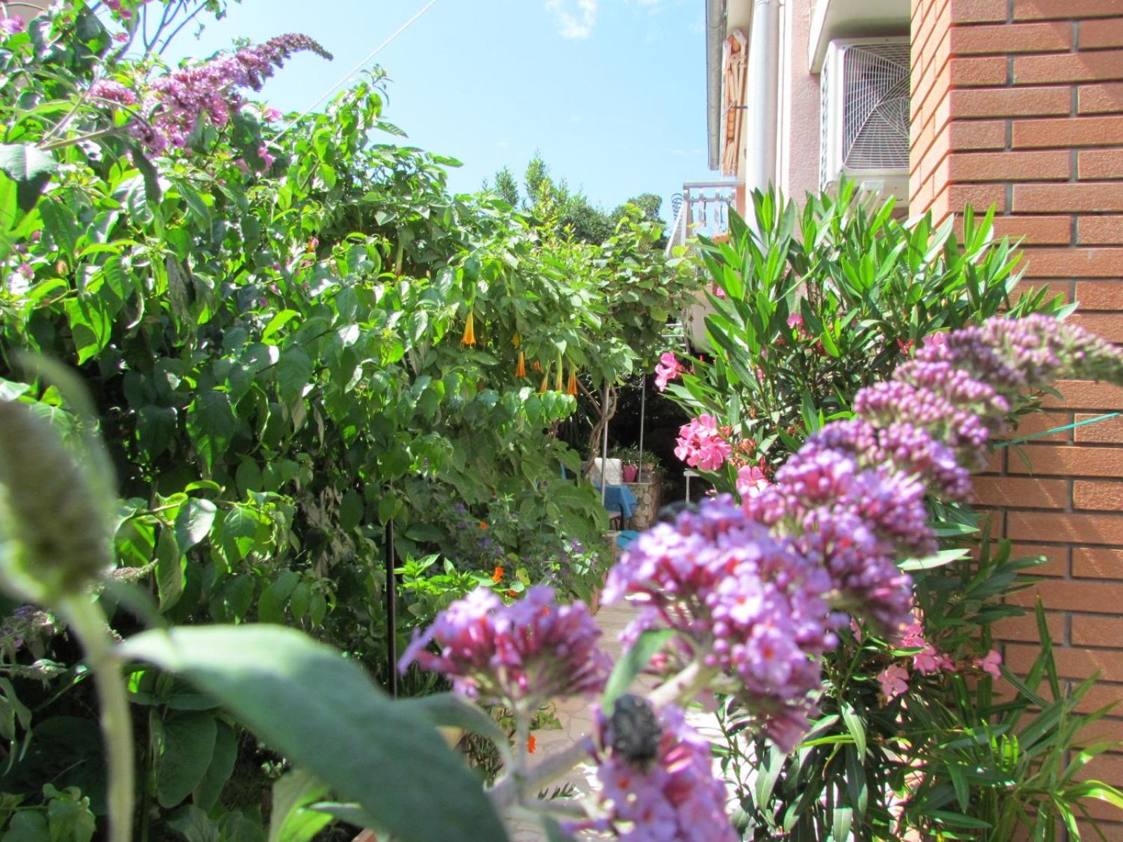 Apartments Bura & Jugo, Cres, Without Stress Εξωτερικό φωτογραφία