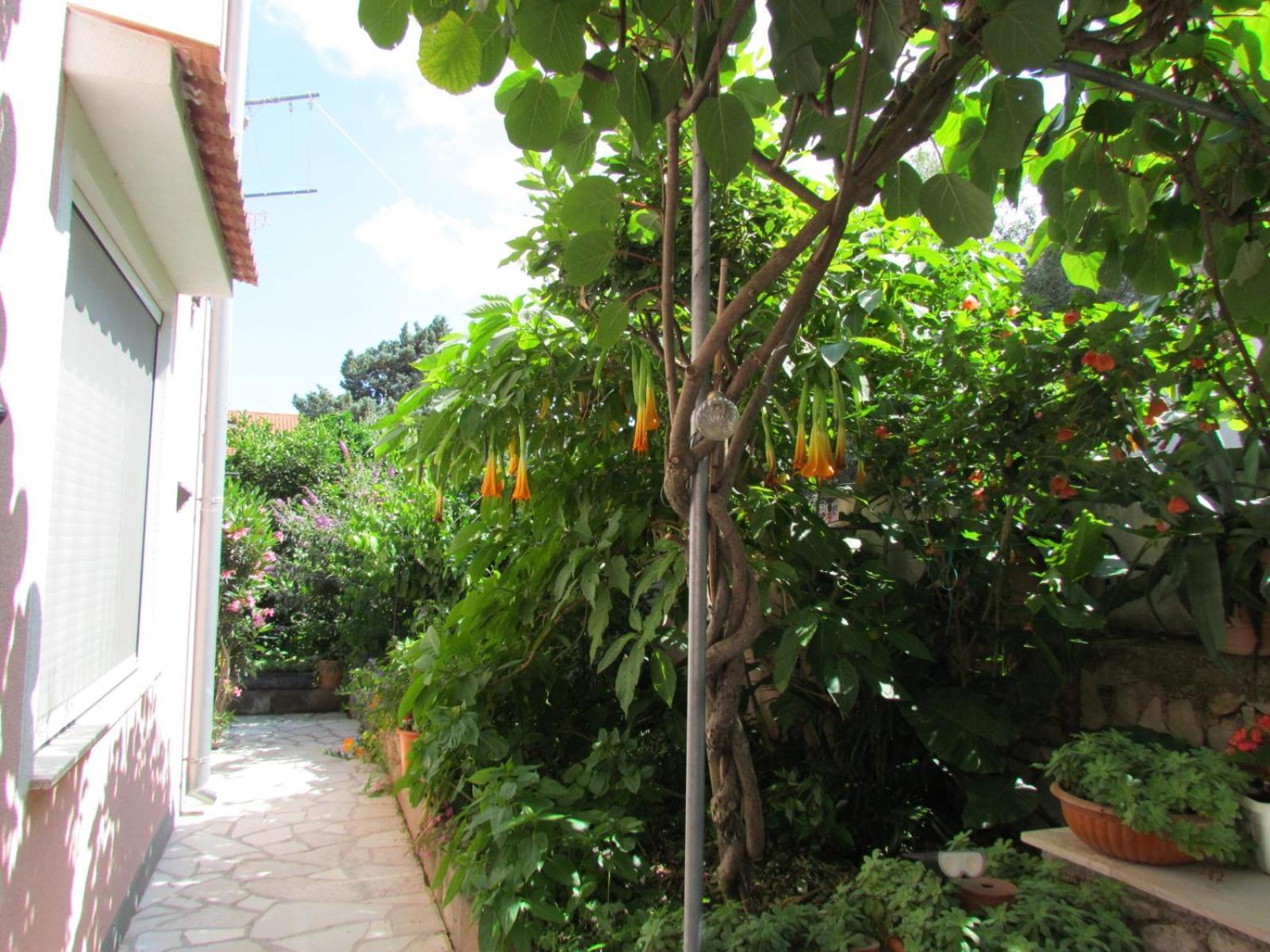Apartments Bura & Jugo, Cres, Without Stress Εξωτερικό φωτογραφία