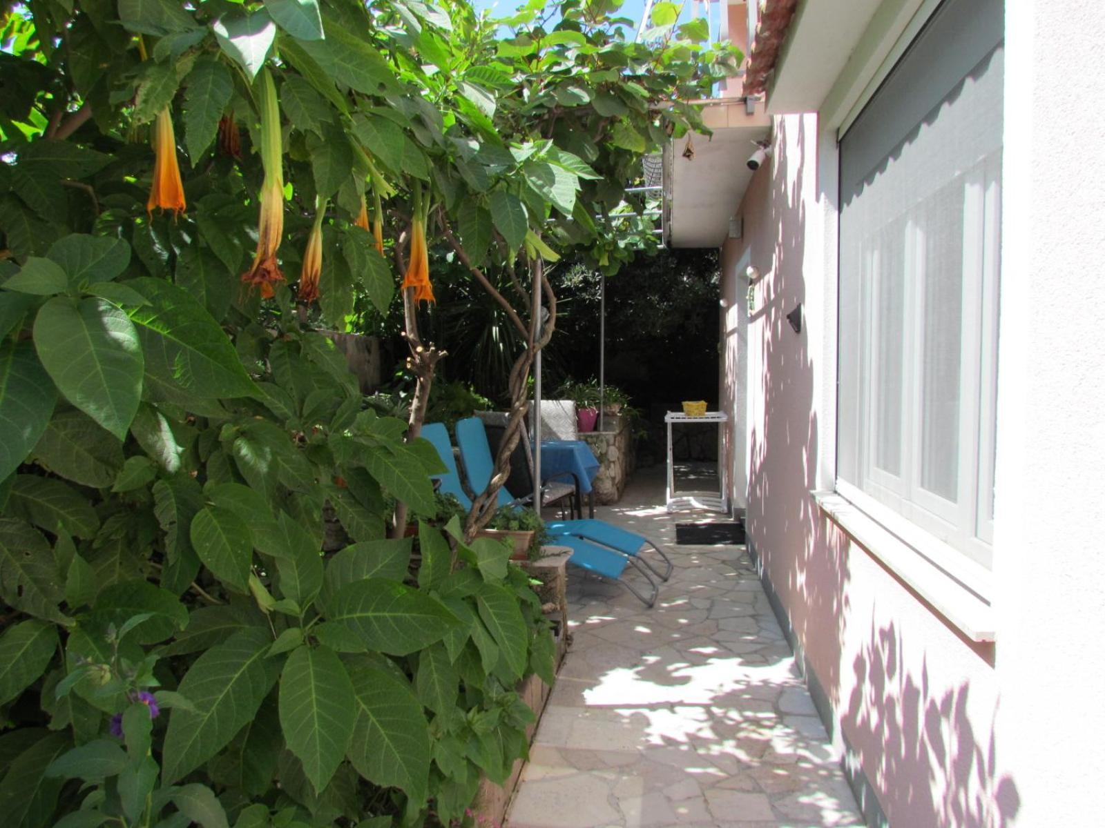 Apartments Bura & Jugo, Cres, Without Stress Εξωτερικό φωτογραφία